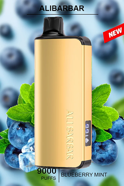 ALIBARBAR INGOT Blueberry Mint disposable vape, offering 9000 puffs of refreshing blueberry and mint flavor in a sleek design.